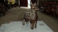 /album/fotogaleria-oferta/burro-grande-jpg/